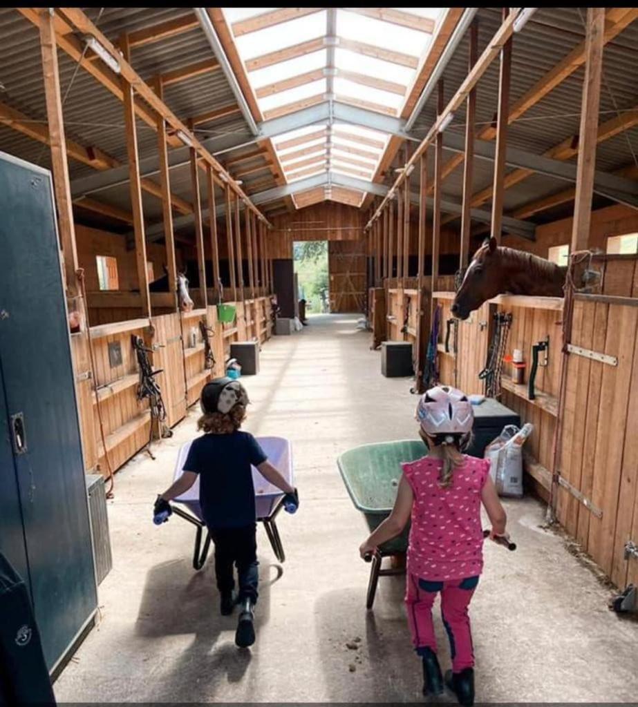Ferienwohnung Beim Pferdehof Neuenstein  Екстер'єр фото